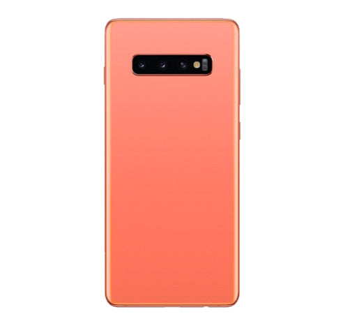 S10  Back Glass With Lens - Flamingo Pink
